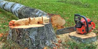 Best Emergency Tree Removal  in Nyon Lake, CA