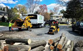 Best Lot and Land Clearing  in Nyon Lake, CA