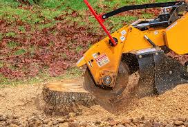 Best Tree Disease Treatment  in Nyon Lake, CA
